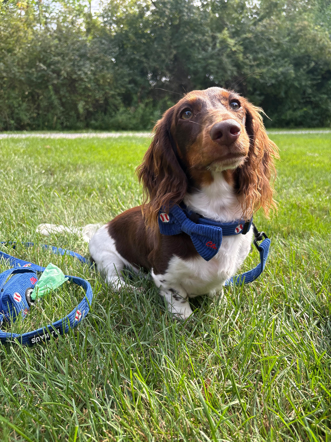 CLE BASEBALL LEASH AND COLLAR BUNDLE