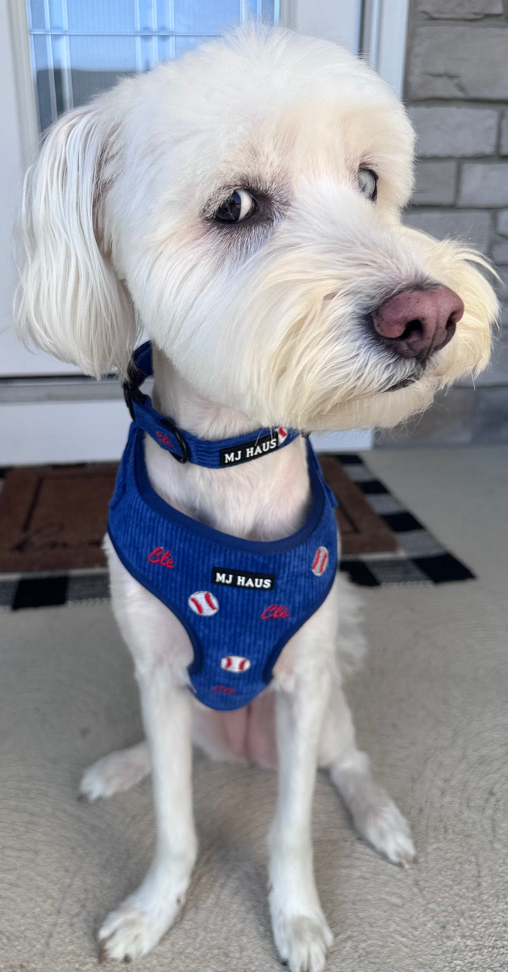 CLE BASEBALL HARNESS