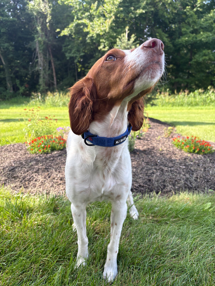 CLE BASEBALL COLLAR