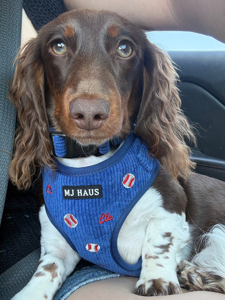 CLE BASEBALL HARNESS