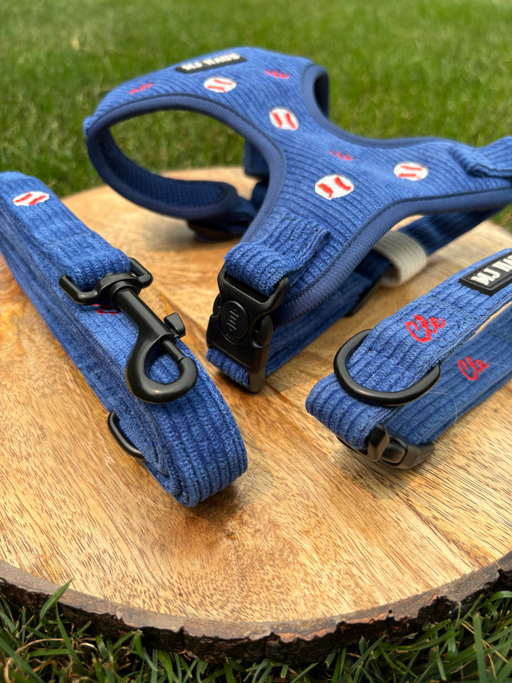 CLE BASEBALL HARNESS BUNDLE