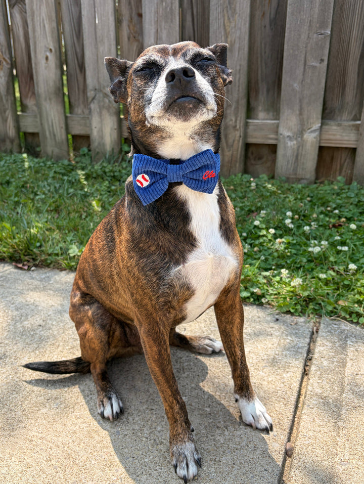 CLE BASEBALL BOW TIE