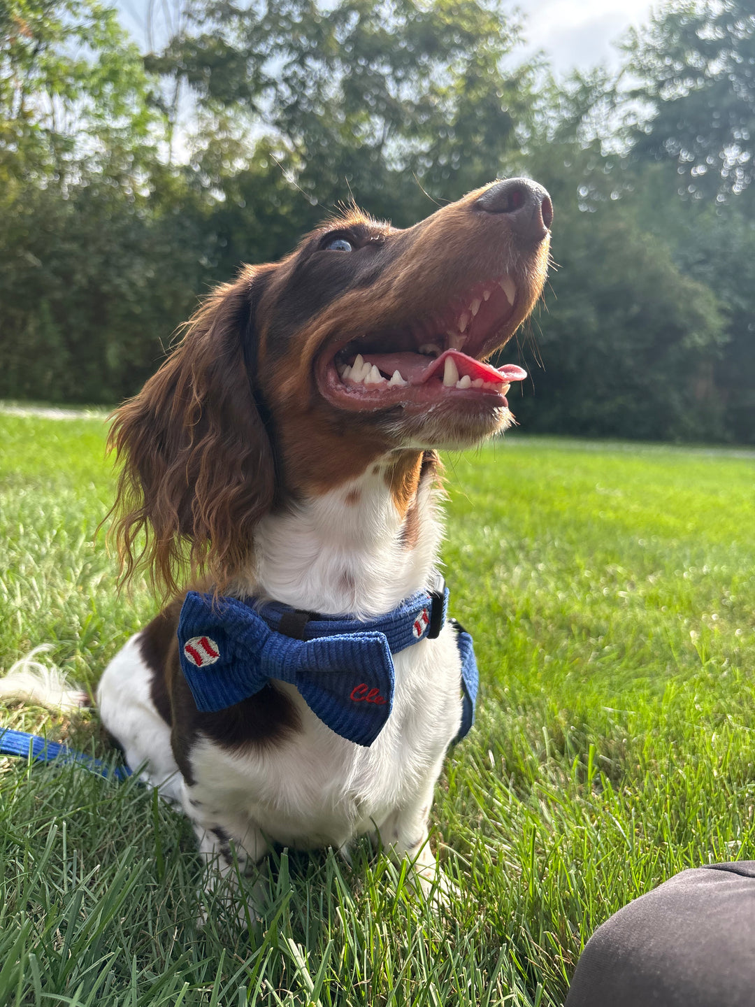 CLE BASEBALL BOW TIE
